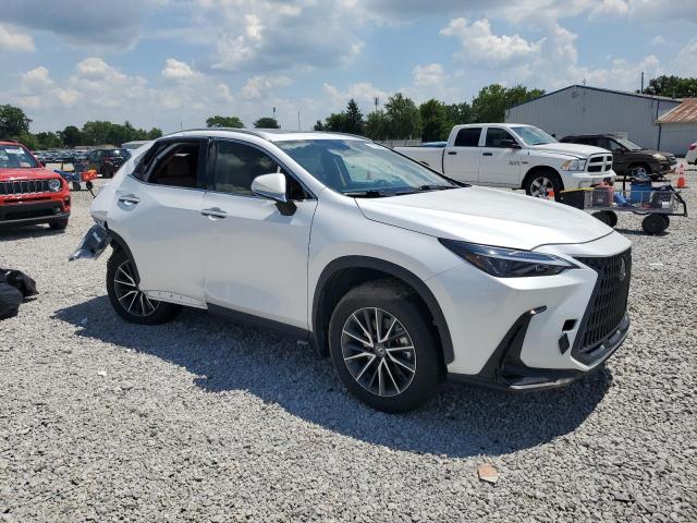  LEXUS NX 350 BAS 2024 Biały
