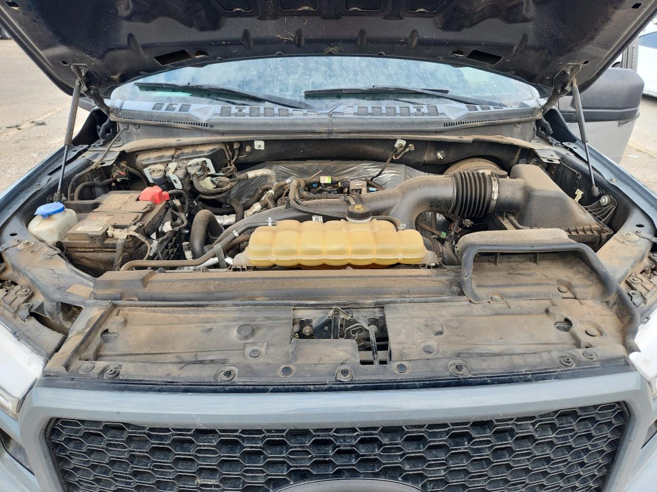 2019 Ford F150 Supercrew VIN: 1FTEW1CP4KKC75817 Lot: 65147825