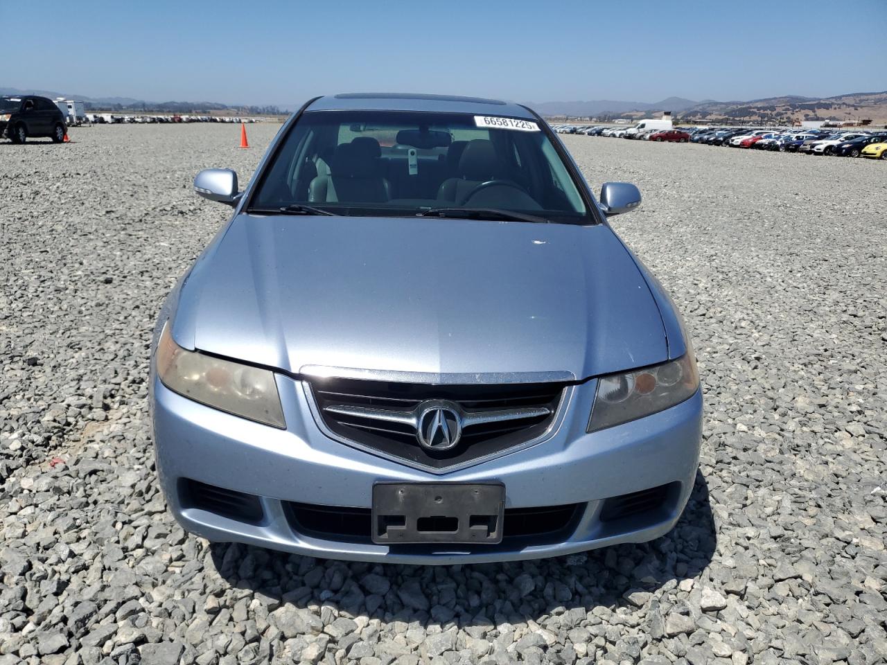 2005 Acura Tsx VIN: JH4CL96855C028130 Lot: 66581225
