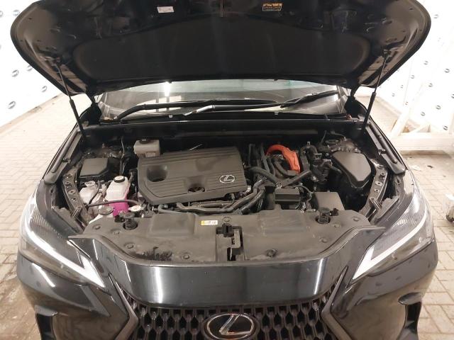 2023 LEXUS NX 350H CV