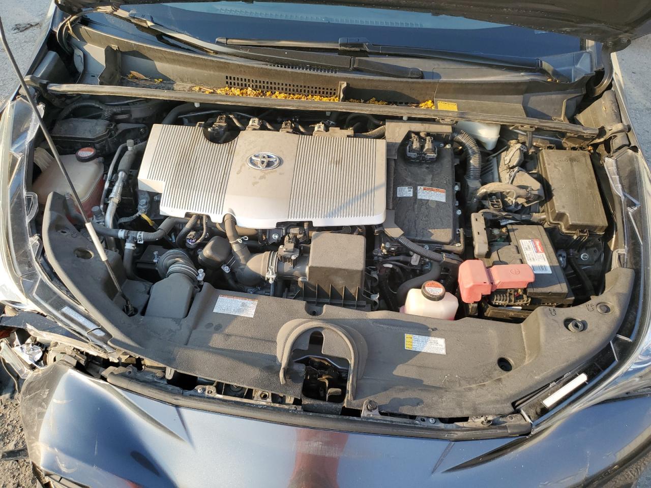 2016 Toyota Prius VIN: JTDKARFU6G3000209 Lot: 64473275