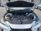2022 LEXUS NX 250   for sale at Copart MA - NORTH BOSTON