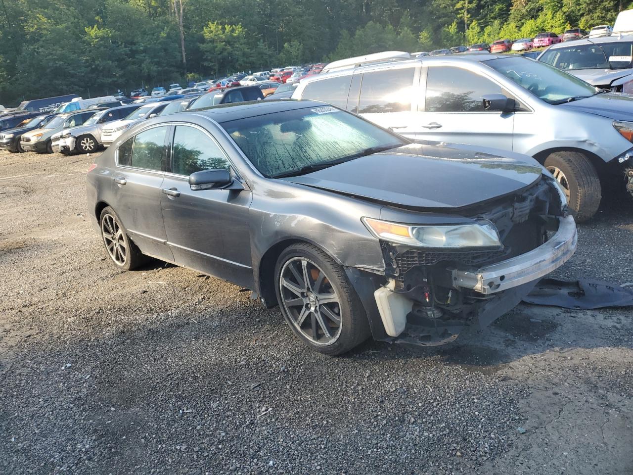 2009 Acura Tl VIN: 19UUA86569A004823 Lot: 66263245