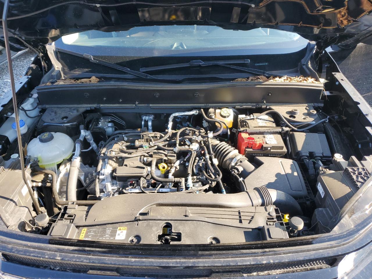 2024 Ford Bronco Sport Outer Banks VIN: 3FMCR9C61RRF18716 Lot: 66231355