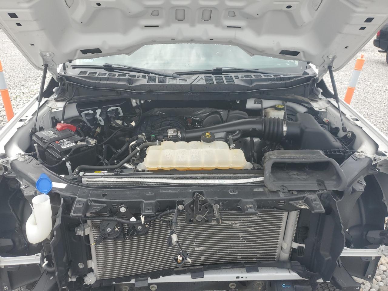 2022 Ford F150 VIN: 1FTMF1CB1NKD89889 Lot: 65518225