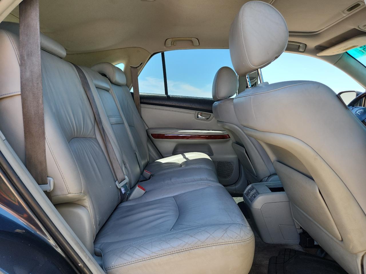 2006 Lexus Rx 330 VIN: JTJGA31U660060319 Lot: 64406135