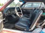 1965 FORD MUSTANG   à vendre chez Copart ON - LONDON