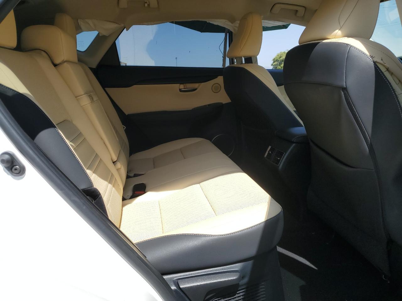 2020 Lexus Nx 300H VIN: JTJGJRDZ6L5009301 Lot: 64702335