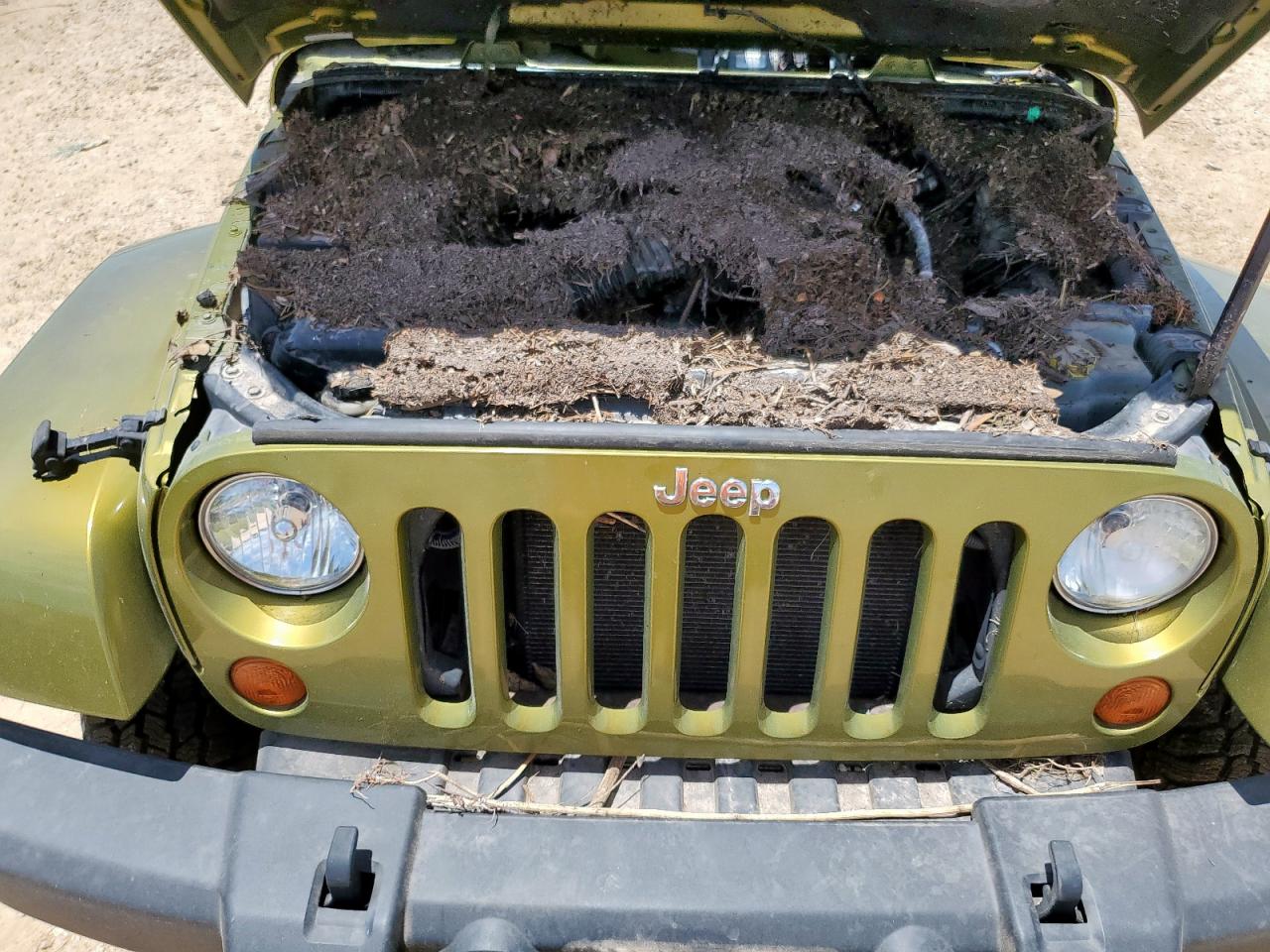 2007 Jeep Wrangler Sahara VIN: 1J4GA59137L137750 Lot: 64988295