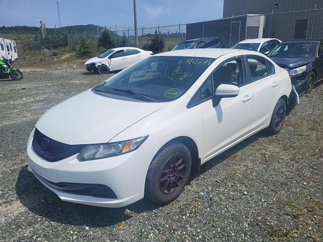 2014 HONDA CIVIC LX   for sale at Copart NL - ST. JOHN'S