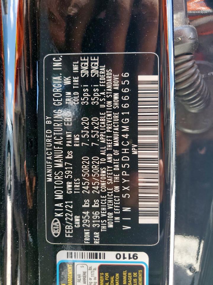 2021 Kia Telluride Sx VIN: 5XYP5DHC4MG166656 Lot: 65683615