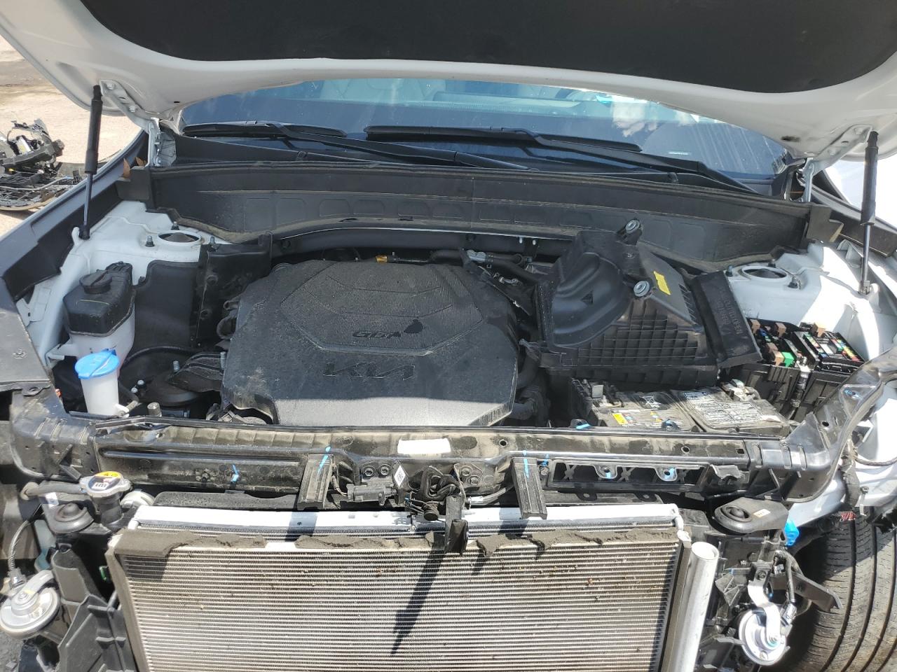 2024 Kia Telluride Sx VIN: 5XYP54GC4RG474306 Lot: 62872305