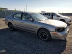 2000 NISSAN MAXIMA GLE   à vendre chez Copart ON - OTTAWA