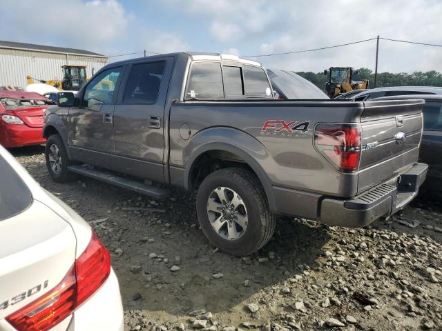 Pickups FORD F-150 2014 Szary