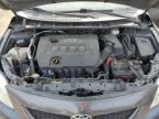 2009 TOYOTA COROLLA BASE   à vendre chez Copart ON - TORONTO
