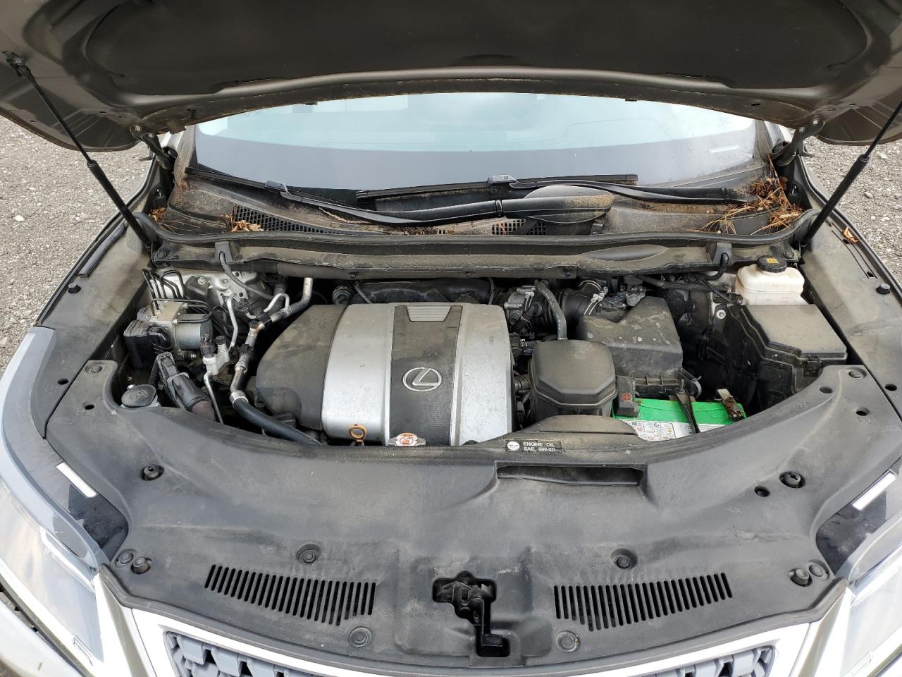 2020 Lexus Rx 350 VIN: 2T2HZMAA3LC171774 Lot: 64648955