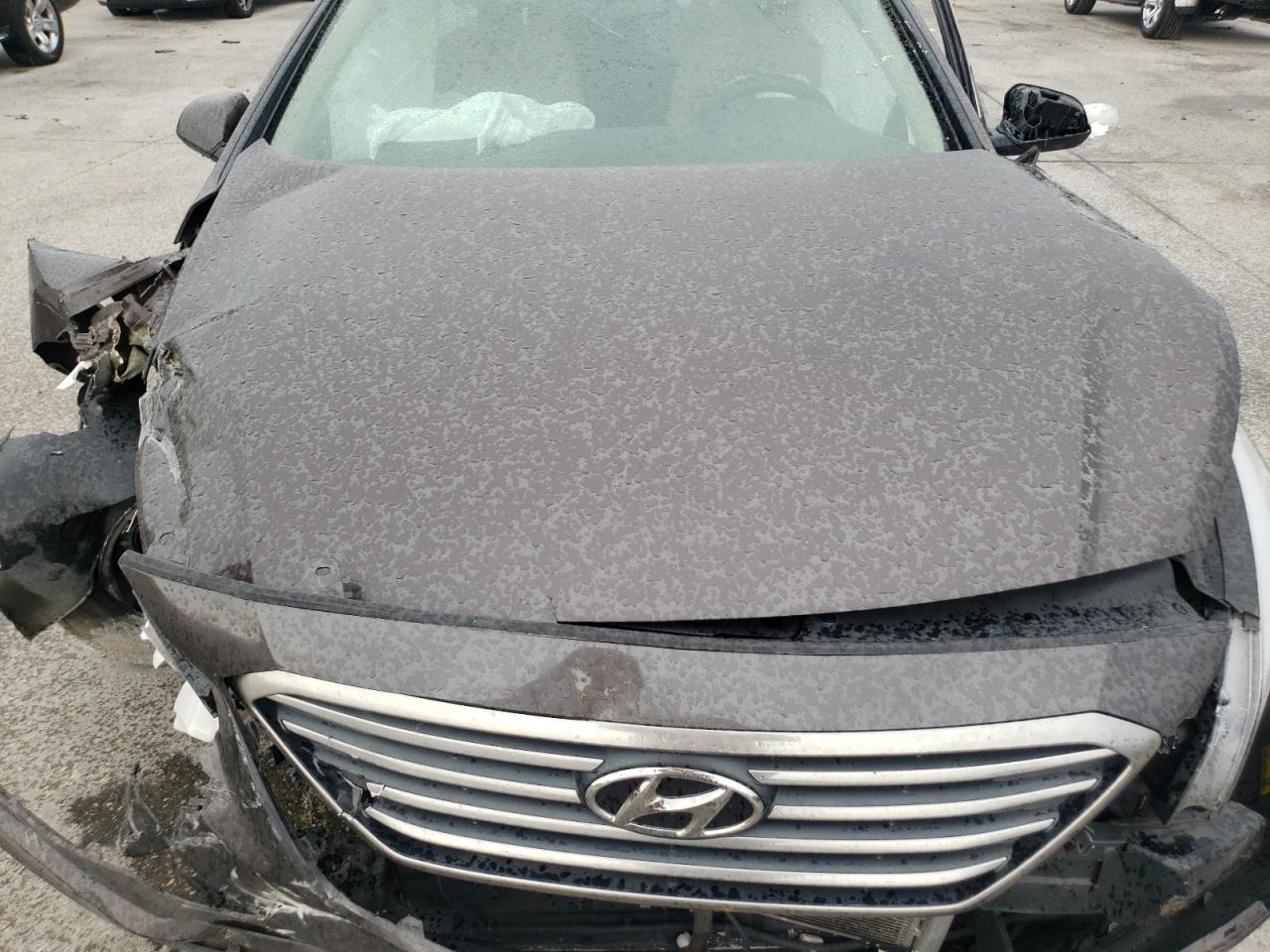 2016 Hyundai Sonata Se VIN: 5NPE24AF5GH309390 Lot: 64233425