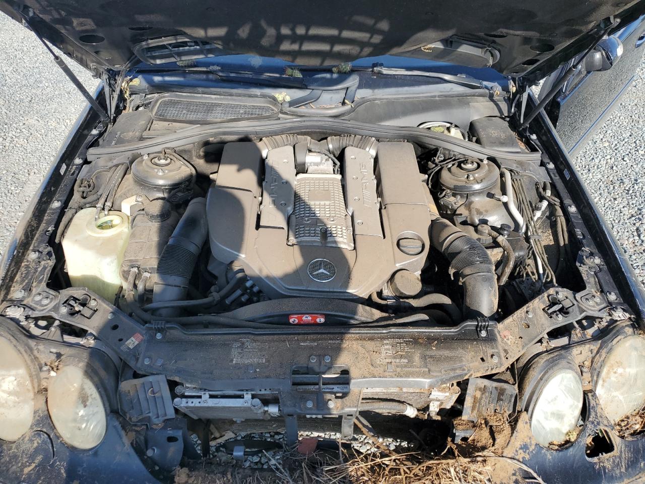 2003 Mercedes-Benz Cl 55 Amg VIN: WDBPJ74J03A035481 Lot: 63943945