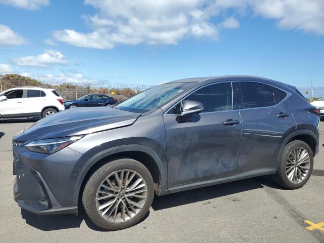 LEXUS NX 350 2022