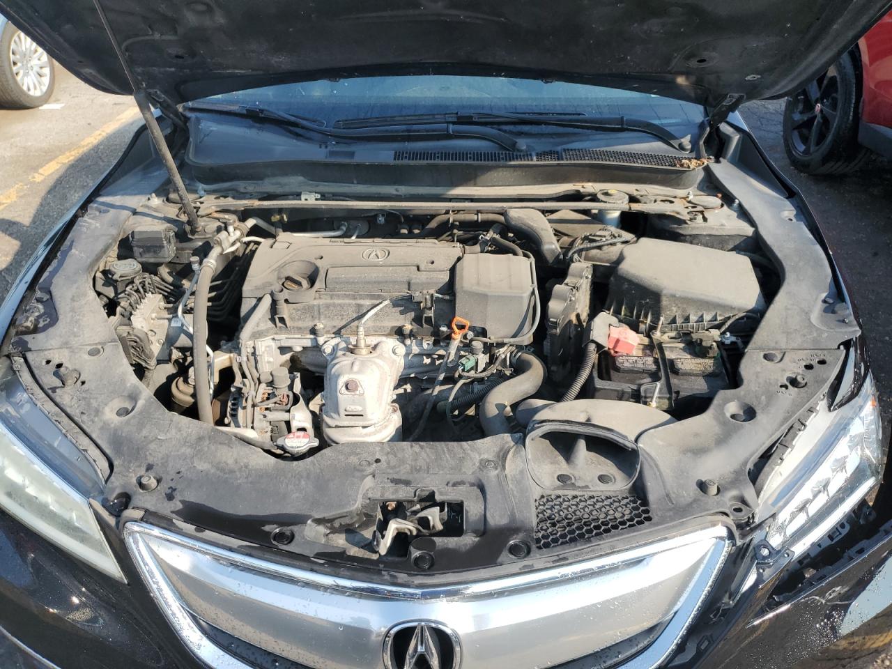 2015 Acura Tlx VIN: 19UUB1F35FA015083 Lot: 66639345