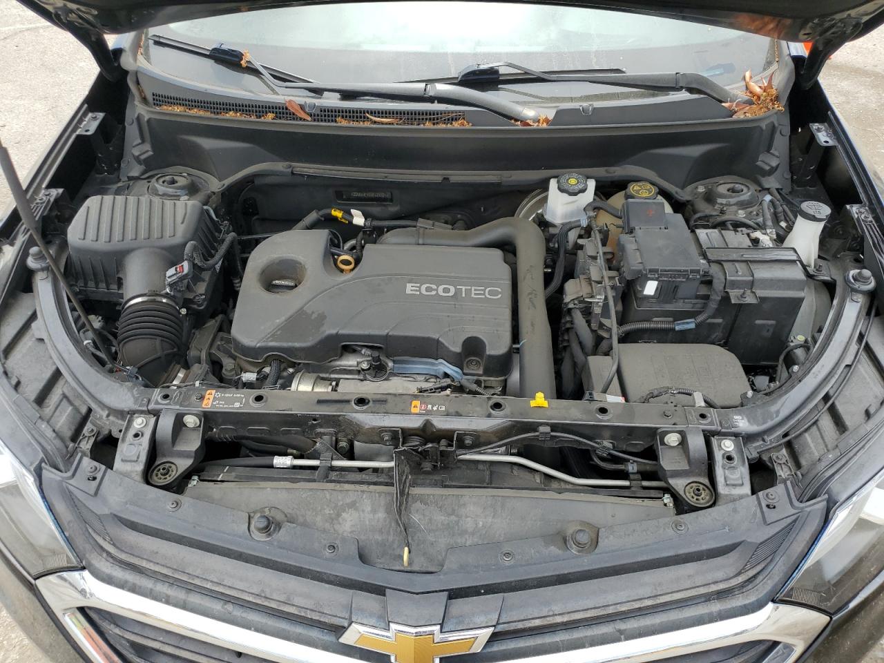 2021 Chevrolet Equinox Ls VIN: 2GNAXHEV6M6129061 Lot: 65202585