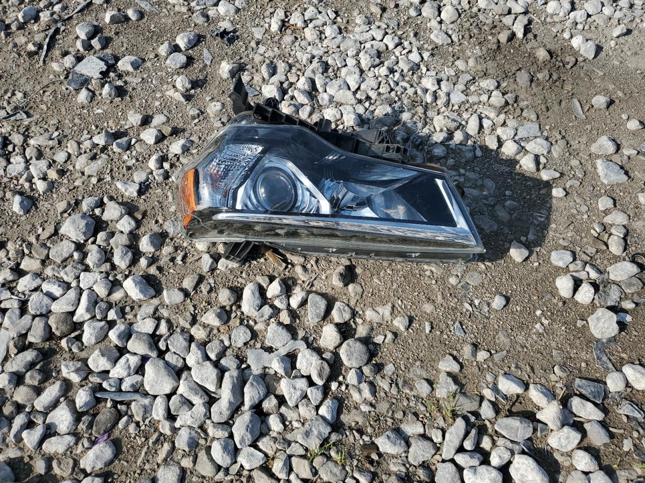 2019 Toyota 4Runner Sr5/Sr5 Premium VIN: JTEBU5JR7K5729606 Lot: 63665955