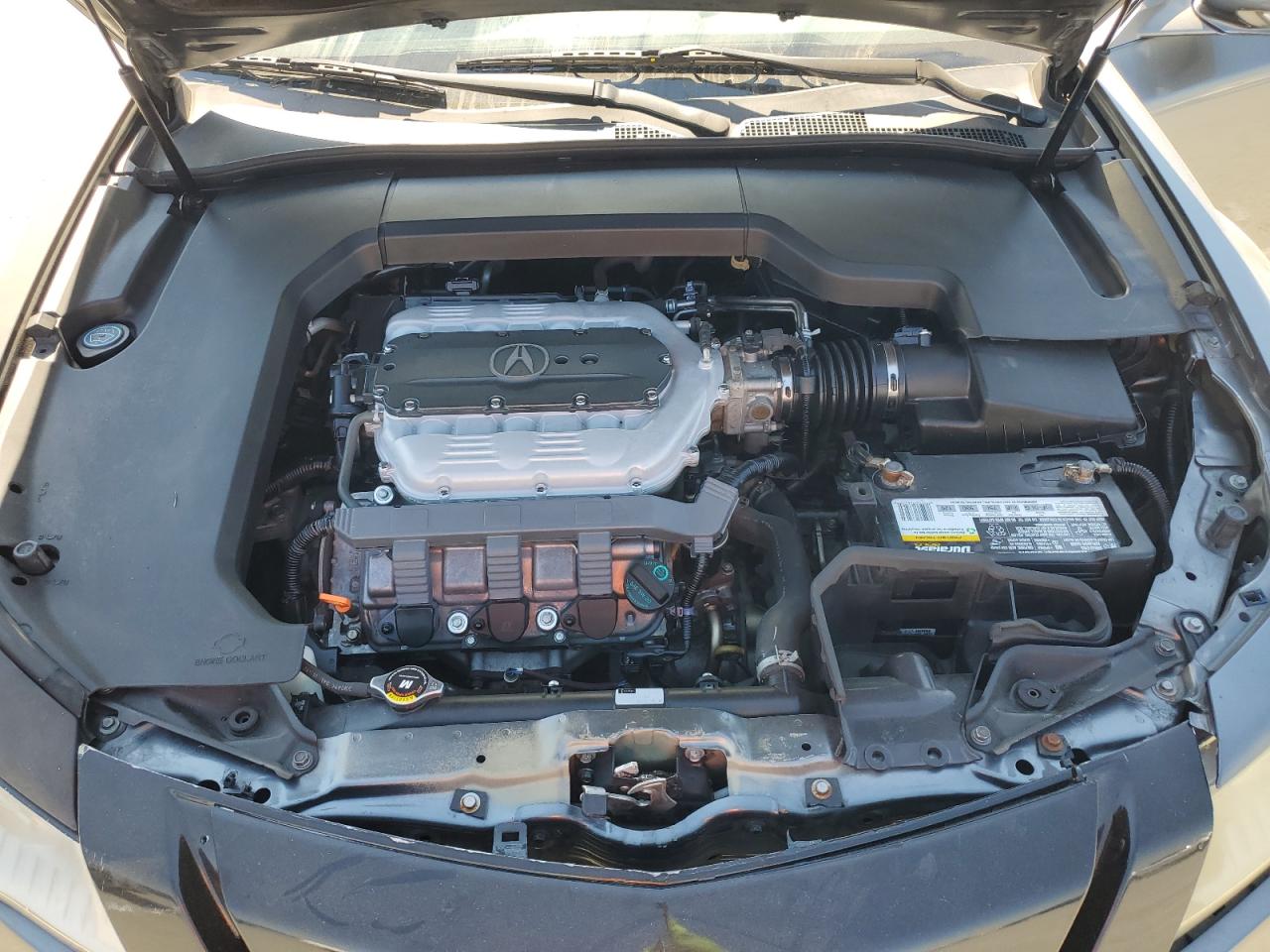 2010 Acura Tl VIN: 19UUA8F53AA017906 Lot: 64866275
