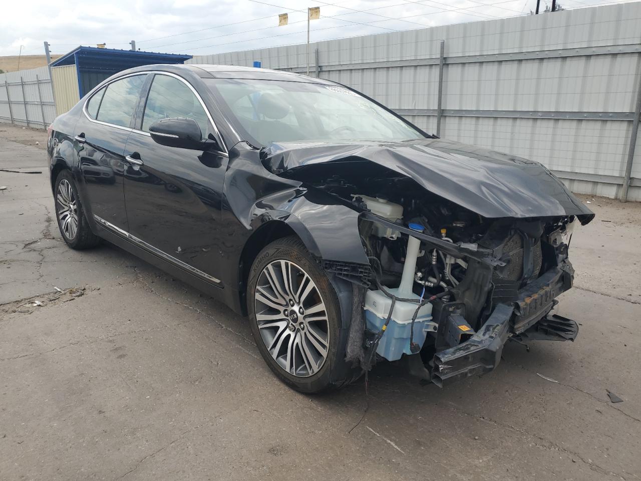 2014 Kia Cadenza Premium VIN: KNALN4D72E5136683 Lot: 66037065