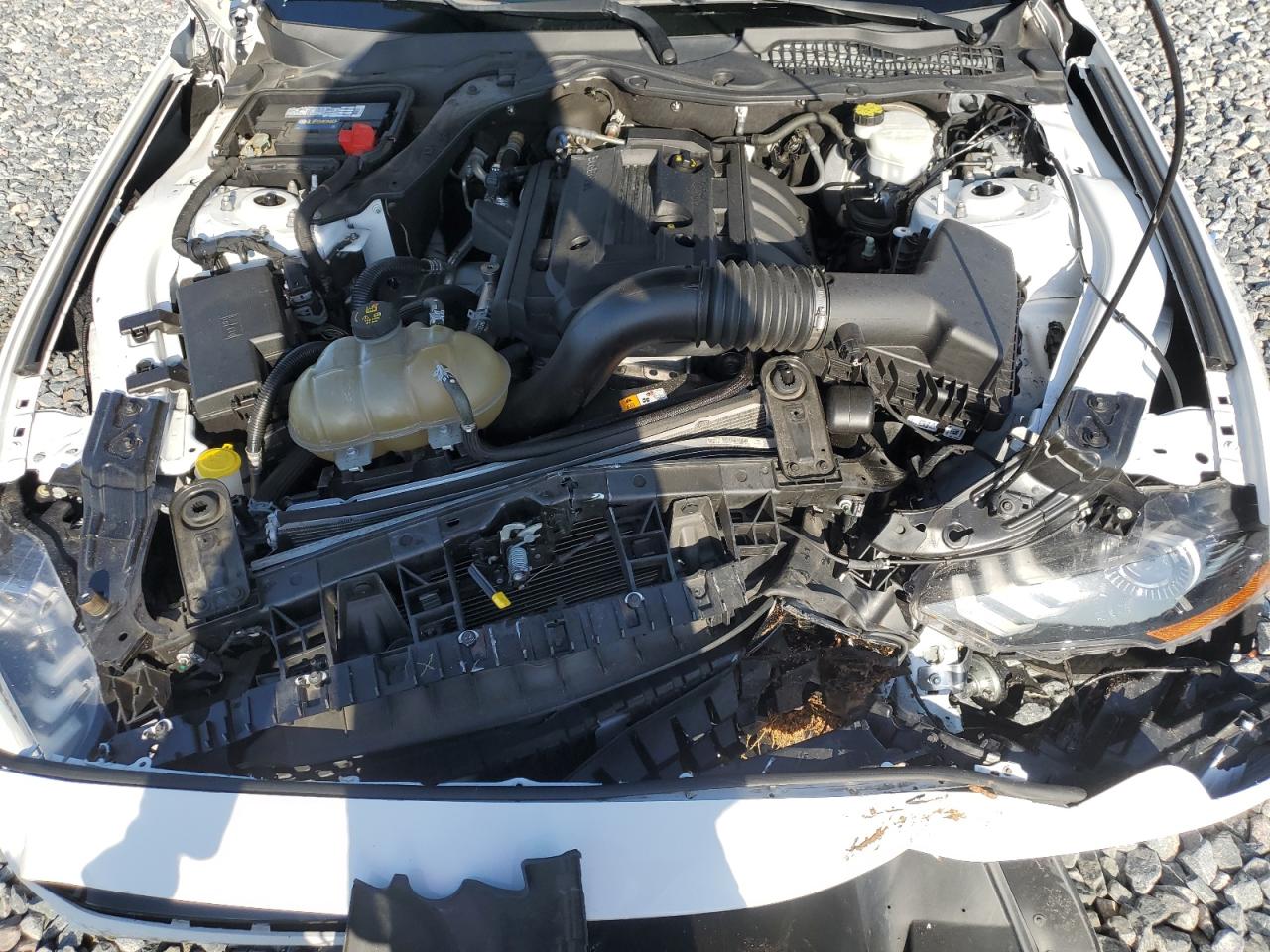2018 Ford Mustang VIN: 1FA6P8TH6J5102306 Lot: 63925875
