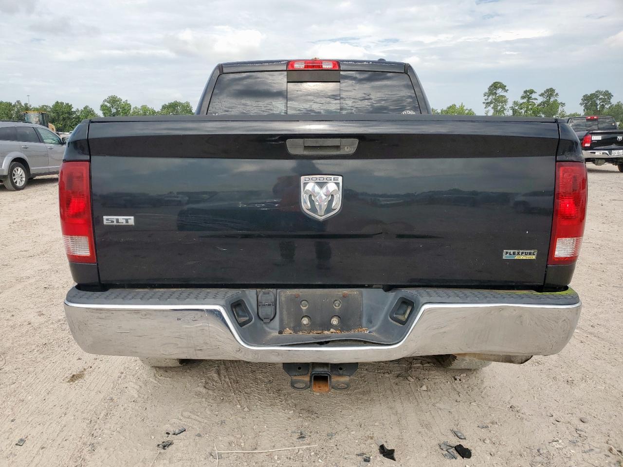 2010 Dodge Ram 1500 VIN: 1D7RB1CP2AS206299 Lot: 63645405