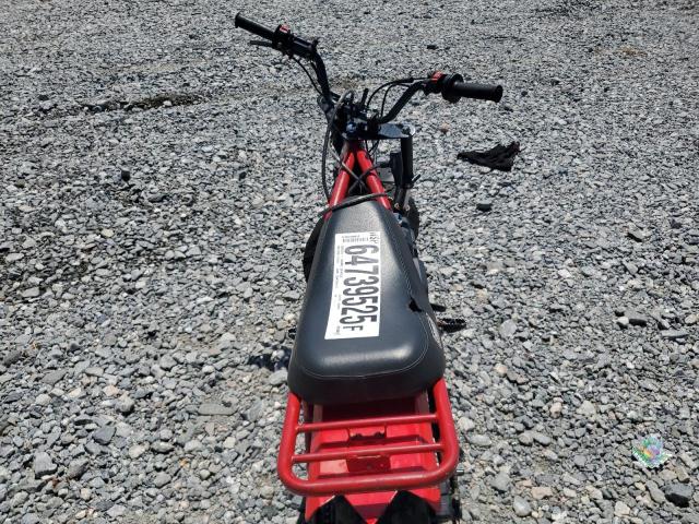 2023 HONDA COLEMAN  
