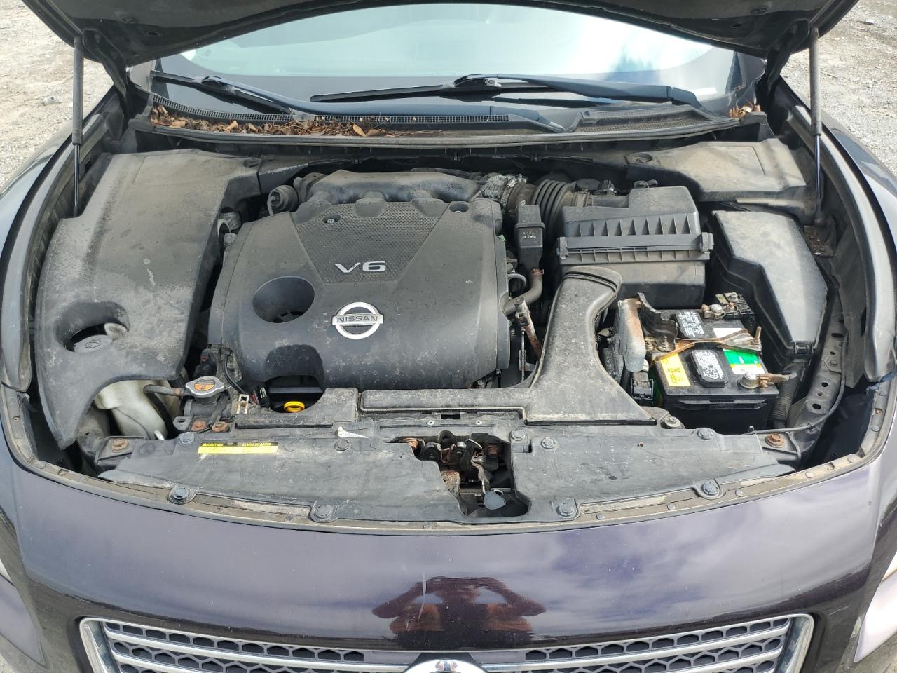 2010 Nissan Maxima S VIN: 1N4AA5AP7AC866374 Lot: 64079745