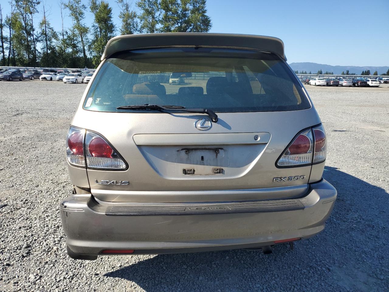 2003 Lexus Rx 300 VIN: JTJHF10U730312389 Lot: 65093945
