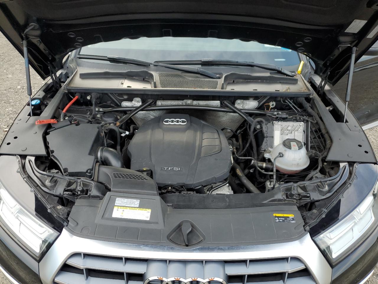 2019 Audi Q5 Premium Plus VIN: WA1BNAFY1K2078446 Lot: 64110695