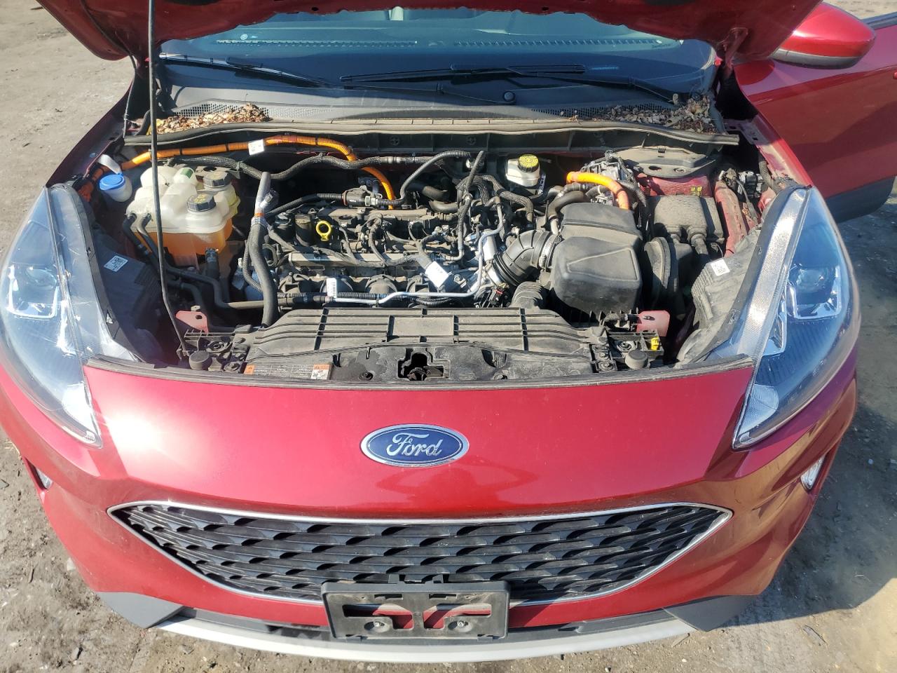 2021 Ford Escape Sel VIN: 1FMCU9CZXMUA30875 Lot: 62392275