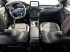 2023 FORD ESCAPE ST LINE   for sale at Copart ON - OTTAWA