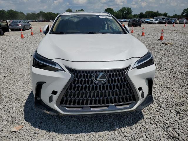  LEXUS NX 350 BAS 2024 Biały