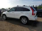 2011 HONDA CR-V EXL   for sale at Copart ON - TORONTO