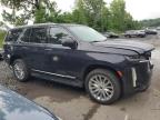 2024 CADILLAC ESCALADE PREMIUM LUXURY   for sale at Copart NY - NEWBURGH