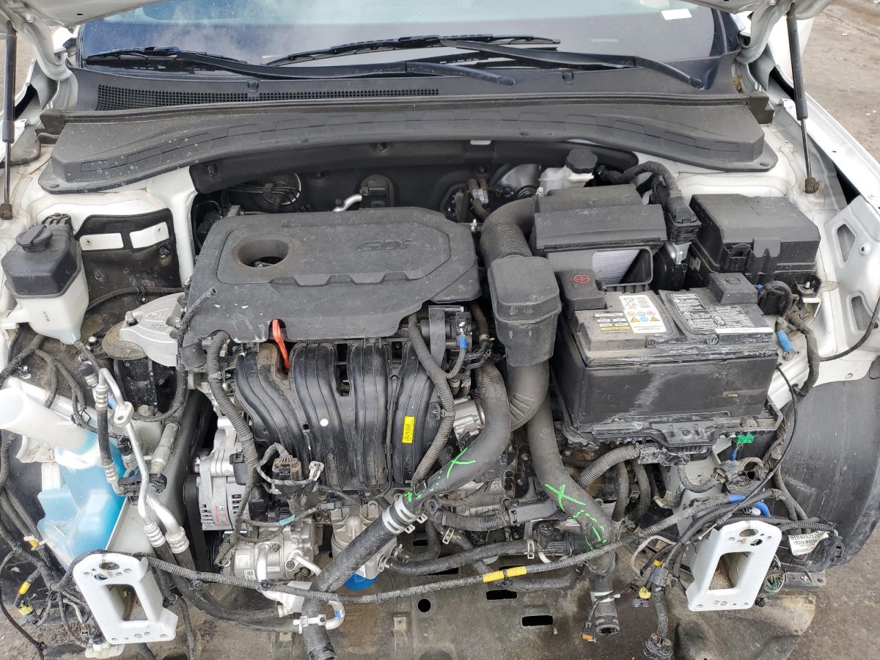 2019 Hyundai Santa Fe Limited VIN: 5NMS53AD5KH068536 Lot: 63190595