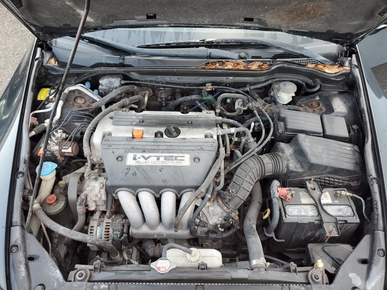 2004 Honda Accord Ex VIN: 1HGCM568X4A100247 Lot: 64182165
