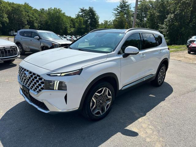  HYUNDAI SANTA FE 2023 White