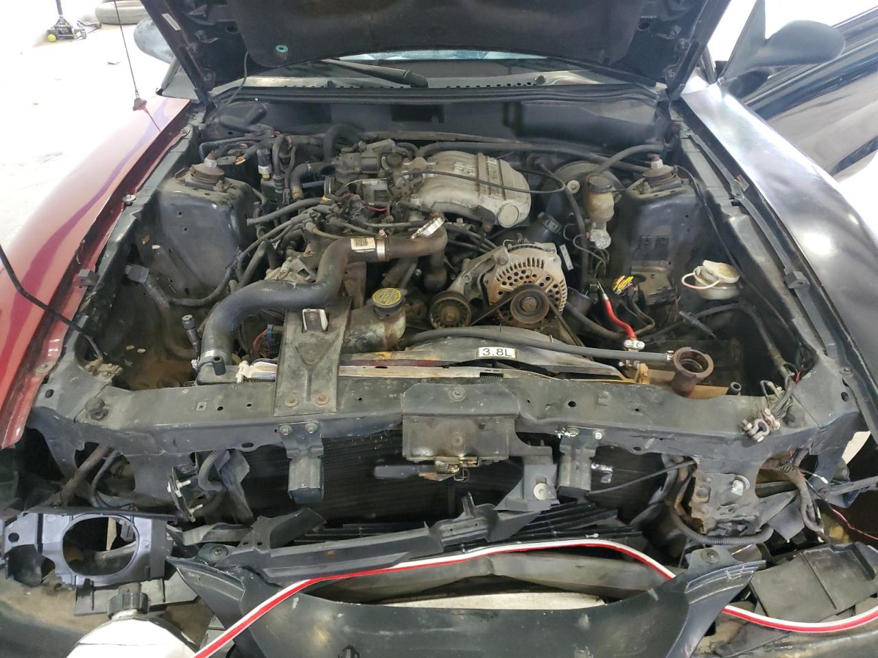 1994 Ford Mustang VIN: 1FALP4047RF189992 Lot: 58293995