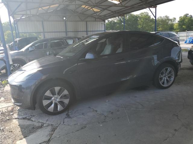  TESLA MODEL Y 2023 Gray