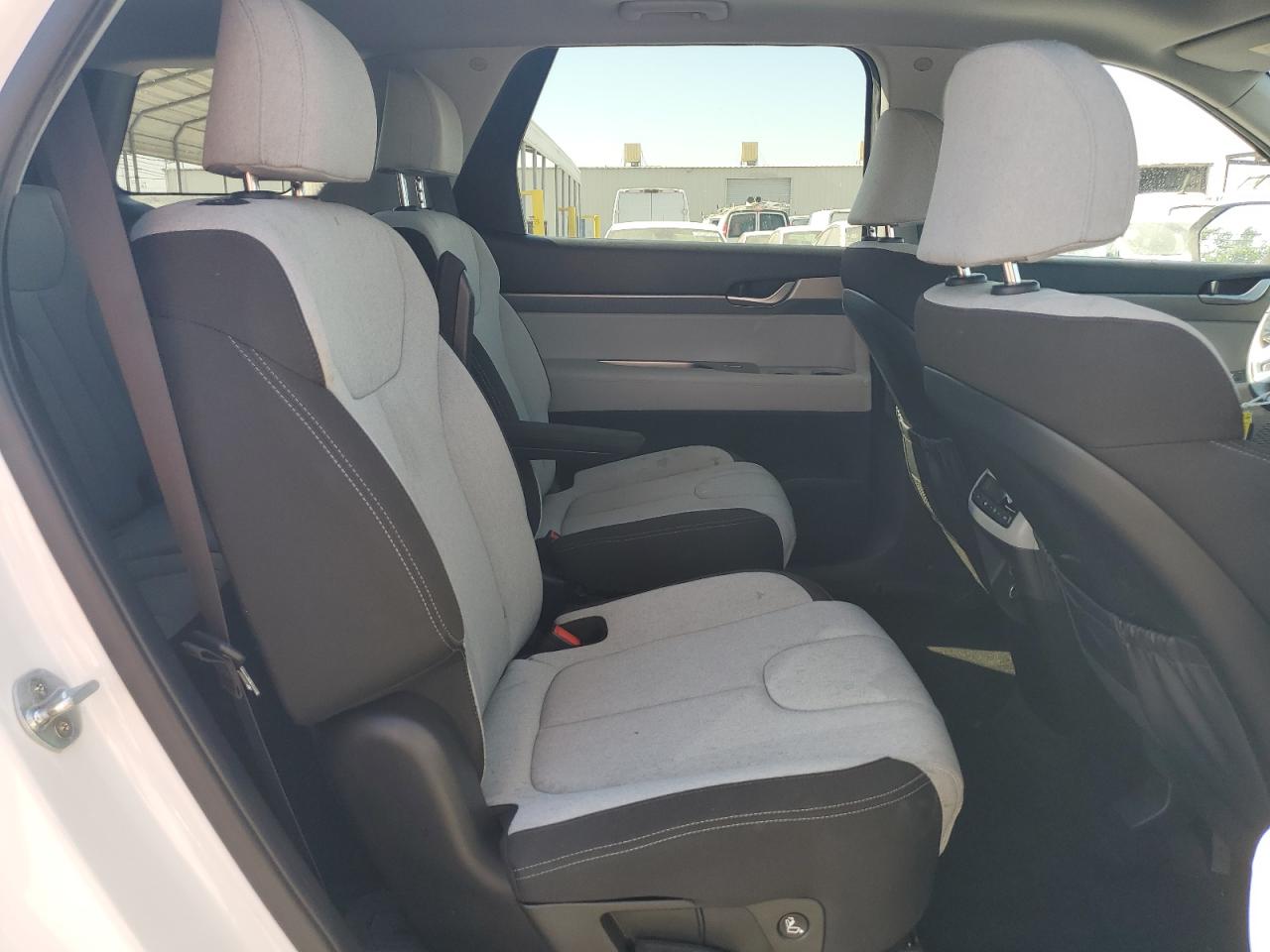 2020 Hyundai Palisade Sel VIN: KM8R24HE5LU097147 Lot: 63129895
