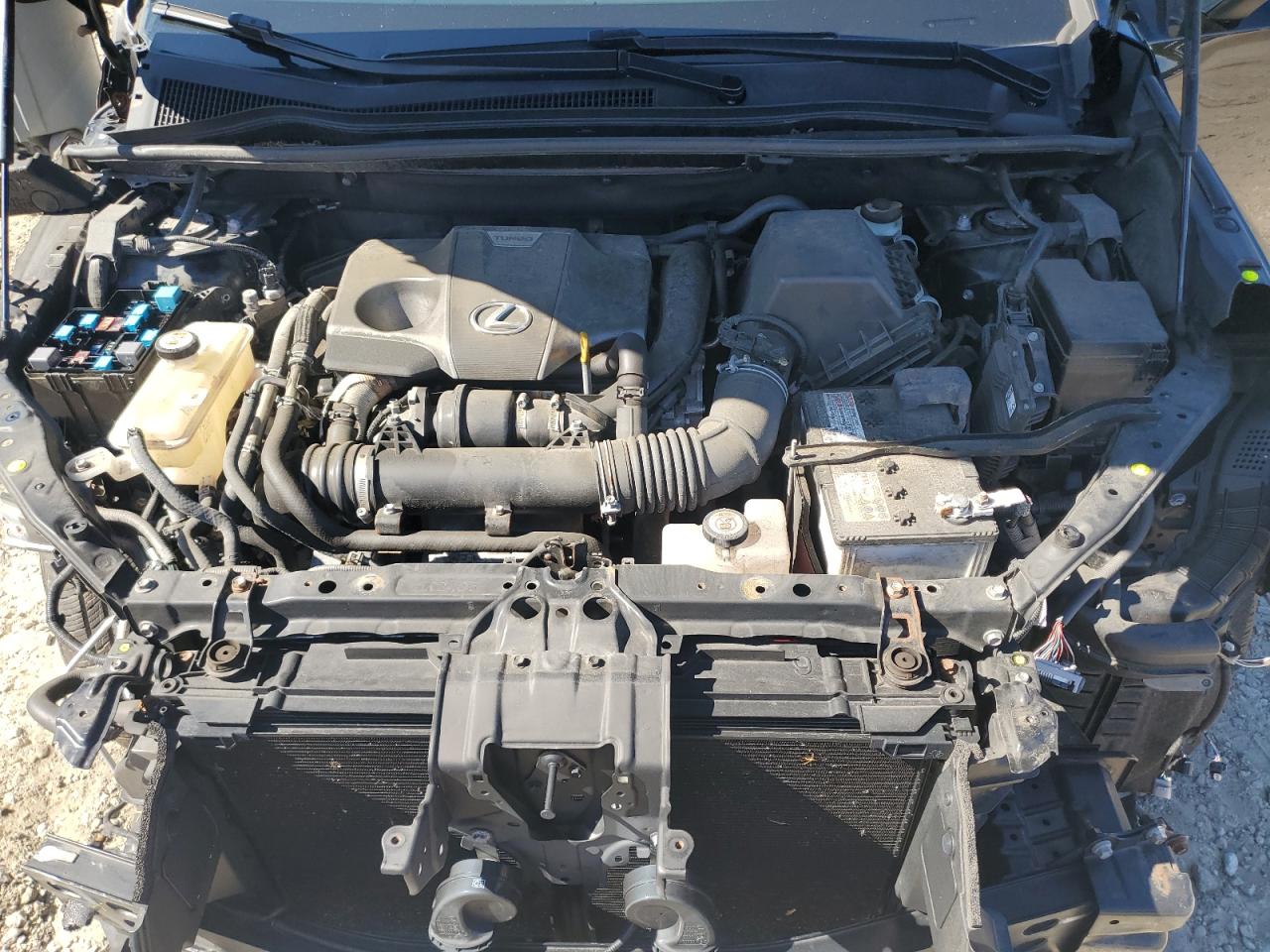 2020 Lexus Nx 300 F Sport VIN: JTJSARDZ2L5016319 Lot: 65227715