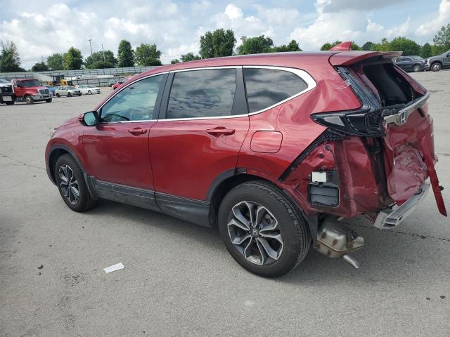  HONDA CRV 2022 Czerwony