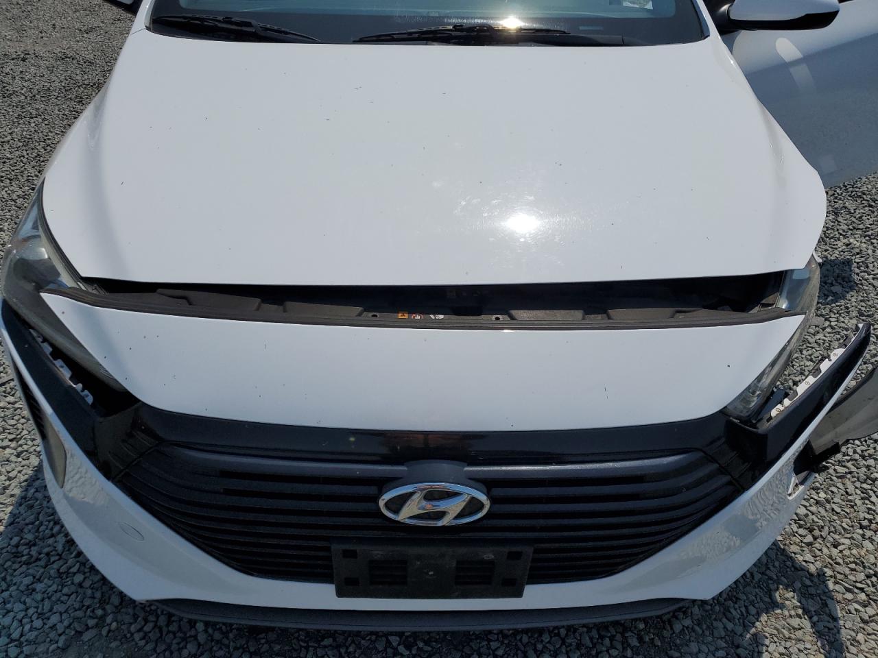 2019 Hyundai Ioniq Blue VIN: KMHC65LC6KU139541 Lot: 64856335