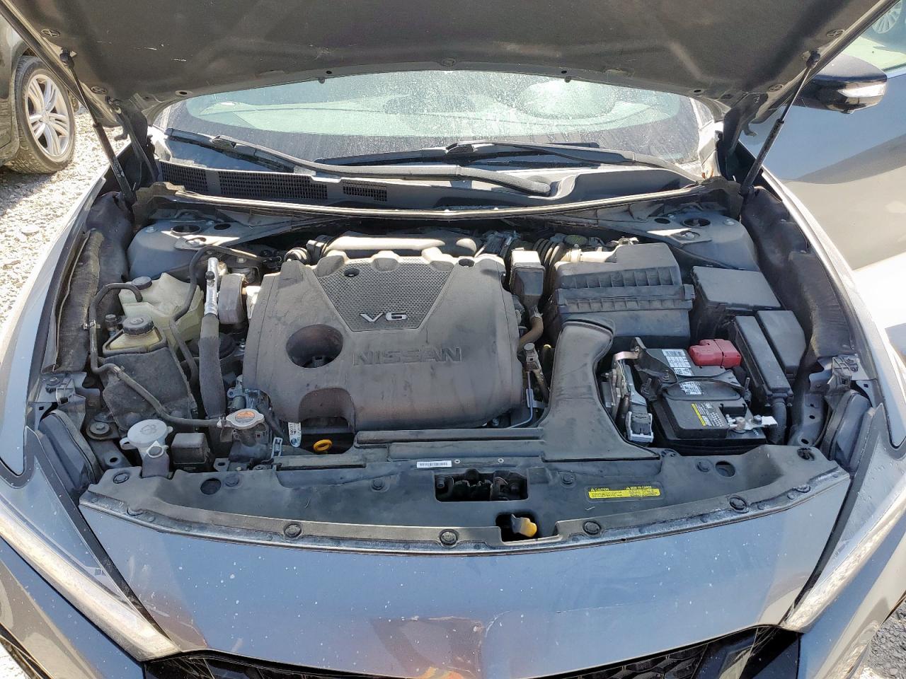 2021 Nissan Maxima Sr VIN: 1N4AA6EV2MC503919 Lot: 66278295