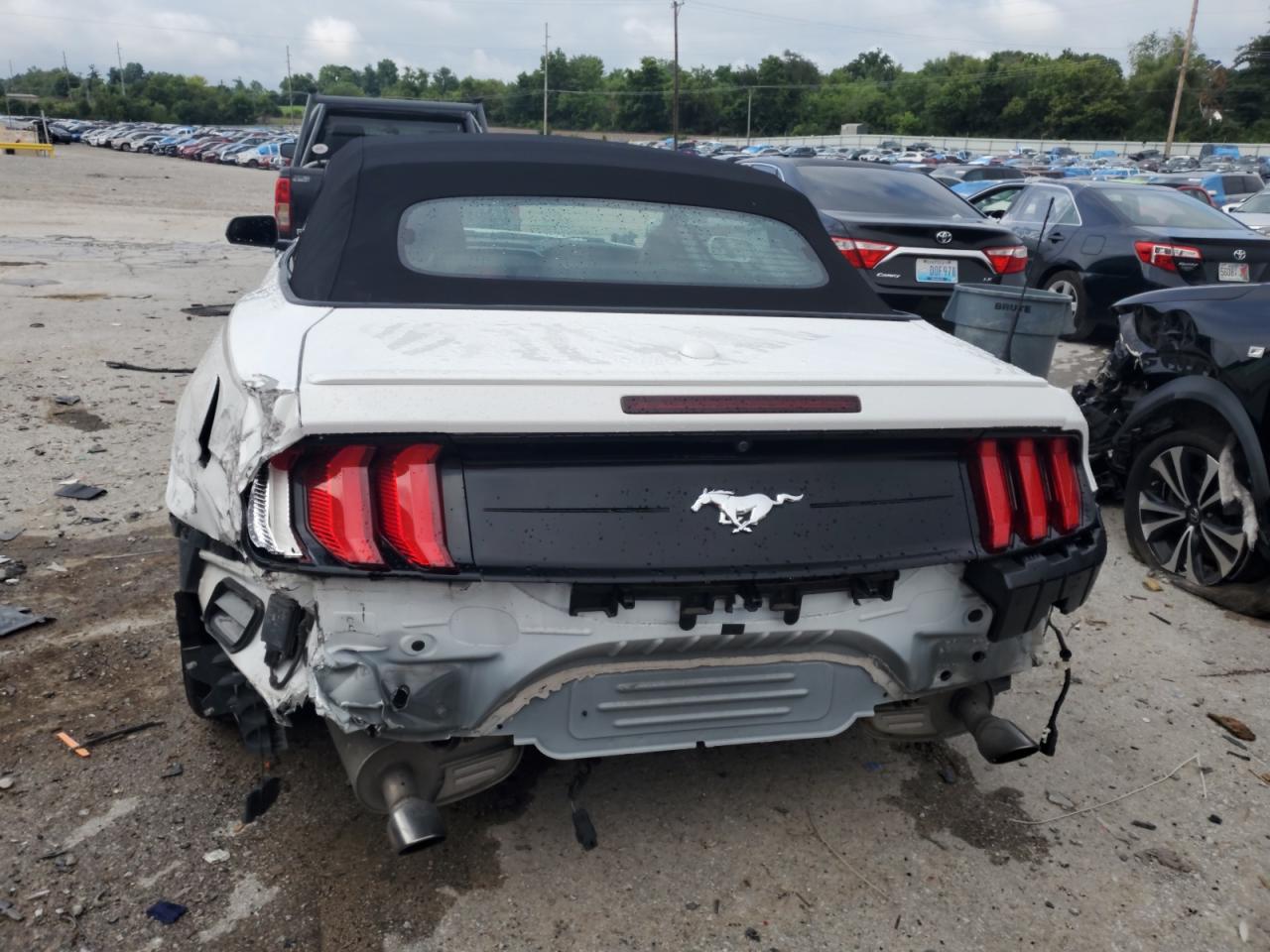 2019 Ford Mustang VIN: 1FATP8UH2K5178768 Lot: 64257685